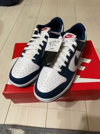 NIKE dunk low valerian blue dunk valerian Snubbull 27.5cm