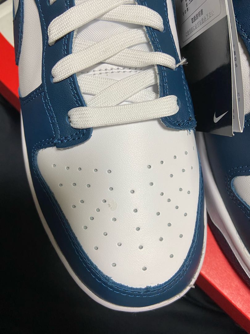 Nike Dunk Low Valerian Blue Valerian Snubbull 28cm