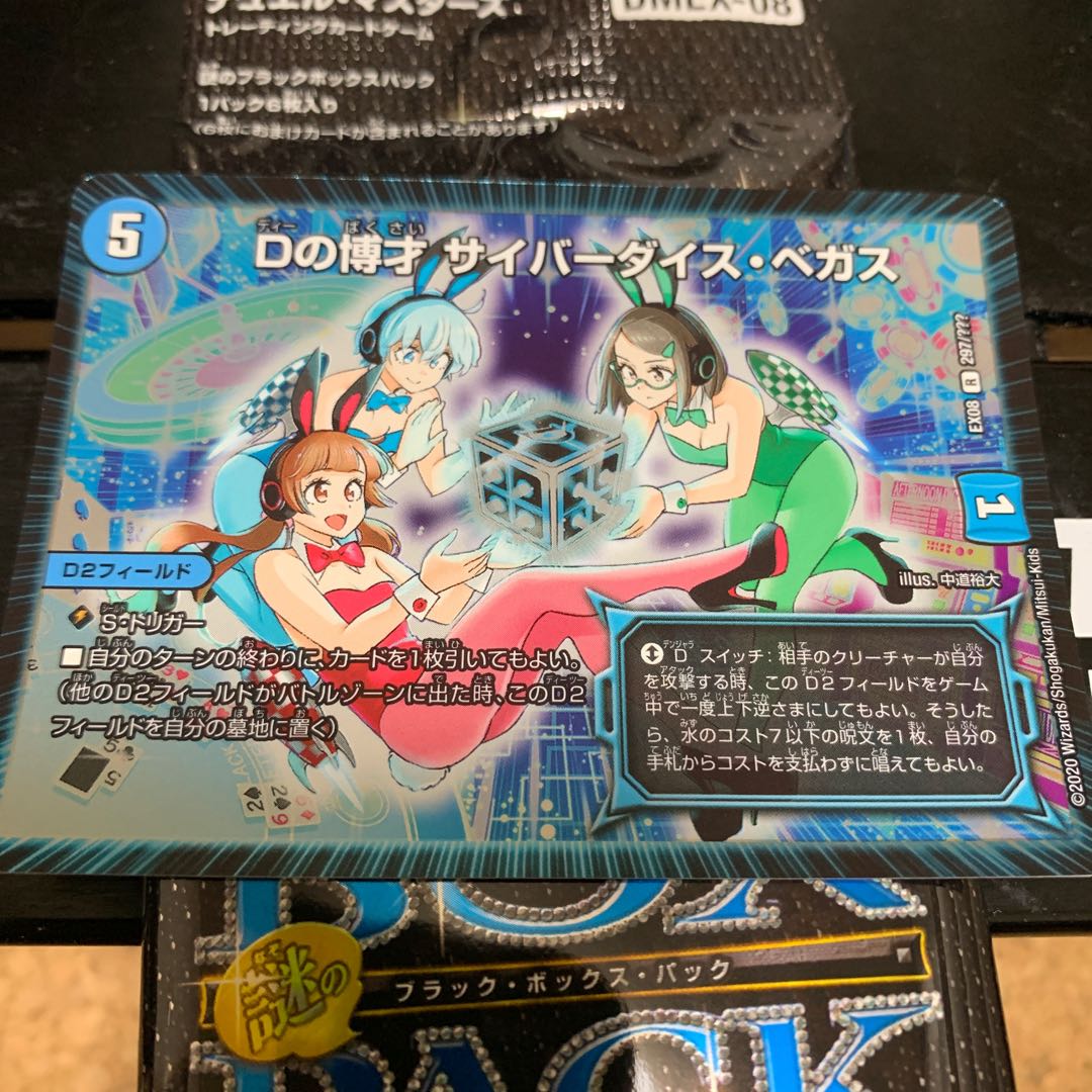 Dの博才 サイバーダイスベガス