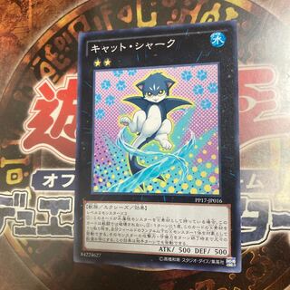 King of Games *Cat Shark *Normal