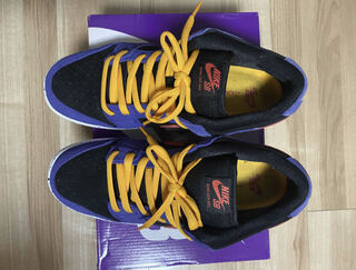 Nike Dunk ACG 29cm