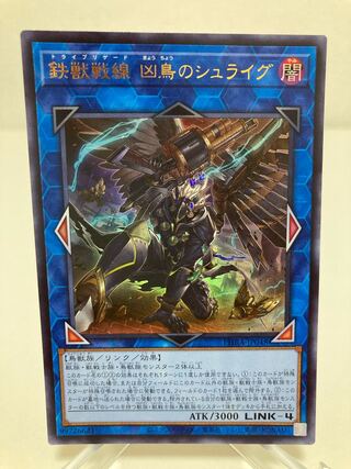 Page dedicated to Mr. Sellaki Tri-Brigade Shuraig the Ominous Omen Feligit