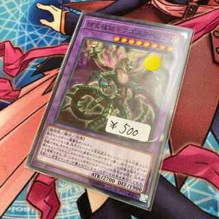 Predaplant Dragostapelia Normal 1 Sheet Special Price