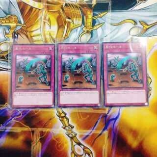 墓穴ホール　R×3枚