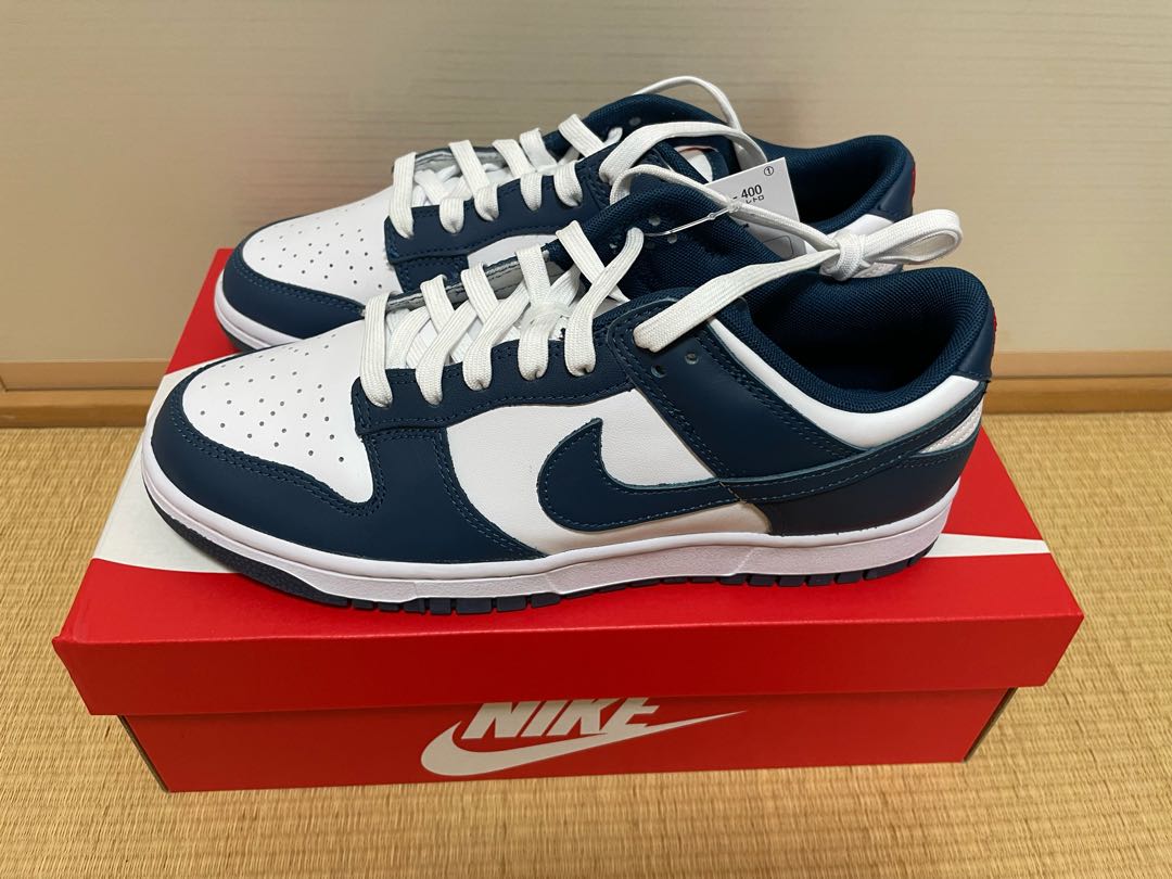 Nike Dunk Dunk Low "Valerian Blue" 27.5cm 27.5cm