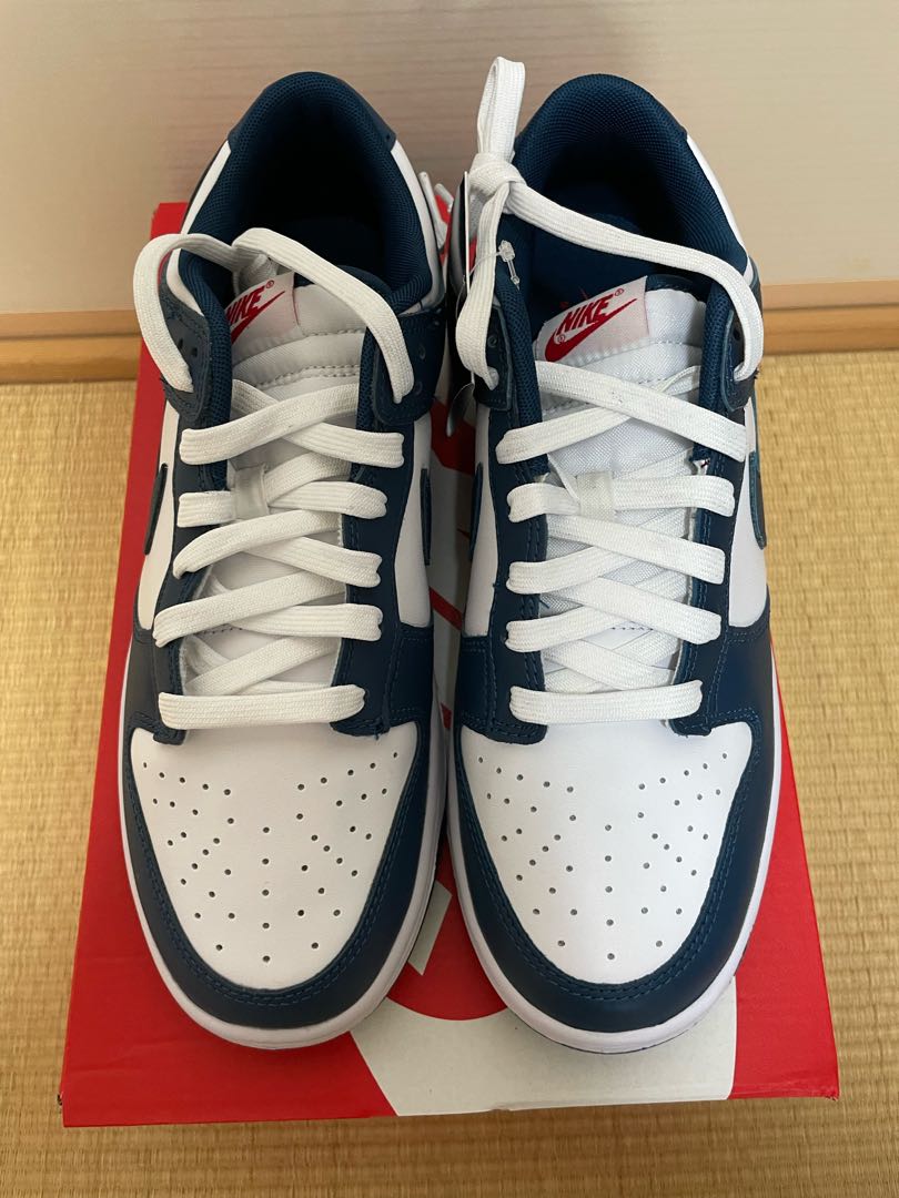 Nike Dunk Dunk Low "Valerian Blue" 27.5cm 27.5cm