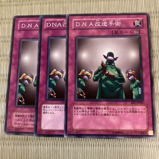 DNA改造手術　ノーマル