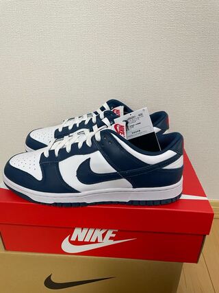 Nike Dunk Low "Valerian Blue" 28.0 28cm