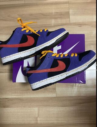 NIKE Nike SB Dunk Low "ACG" 29cm