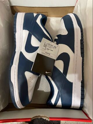 Nike Dunk Low "Valerian Snubbull 27.5cm