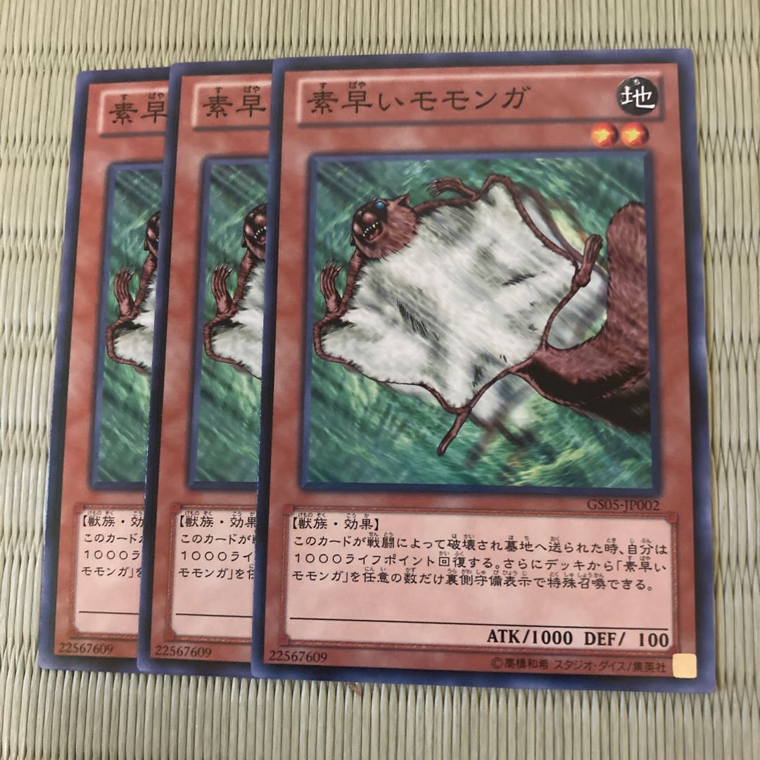 Nimble Momonga Normal