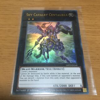 Sky Cavalry Centaurea English Ultra