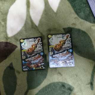 ハイオリーダ 二枚