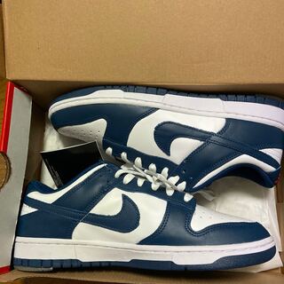 NIKE DUNK LOW VALERIAN BLUE 27cm 27cm