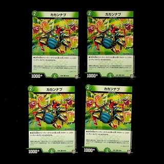 DM Kakanab Common, set of 4 (4)