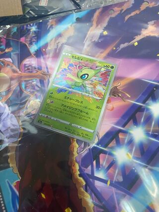 Celebi a Rosa Zinglea