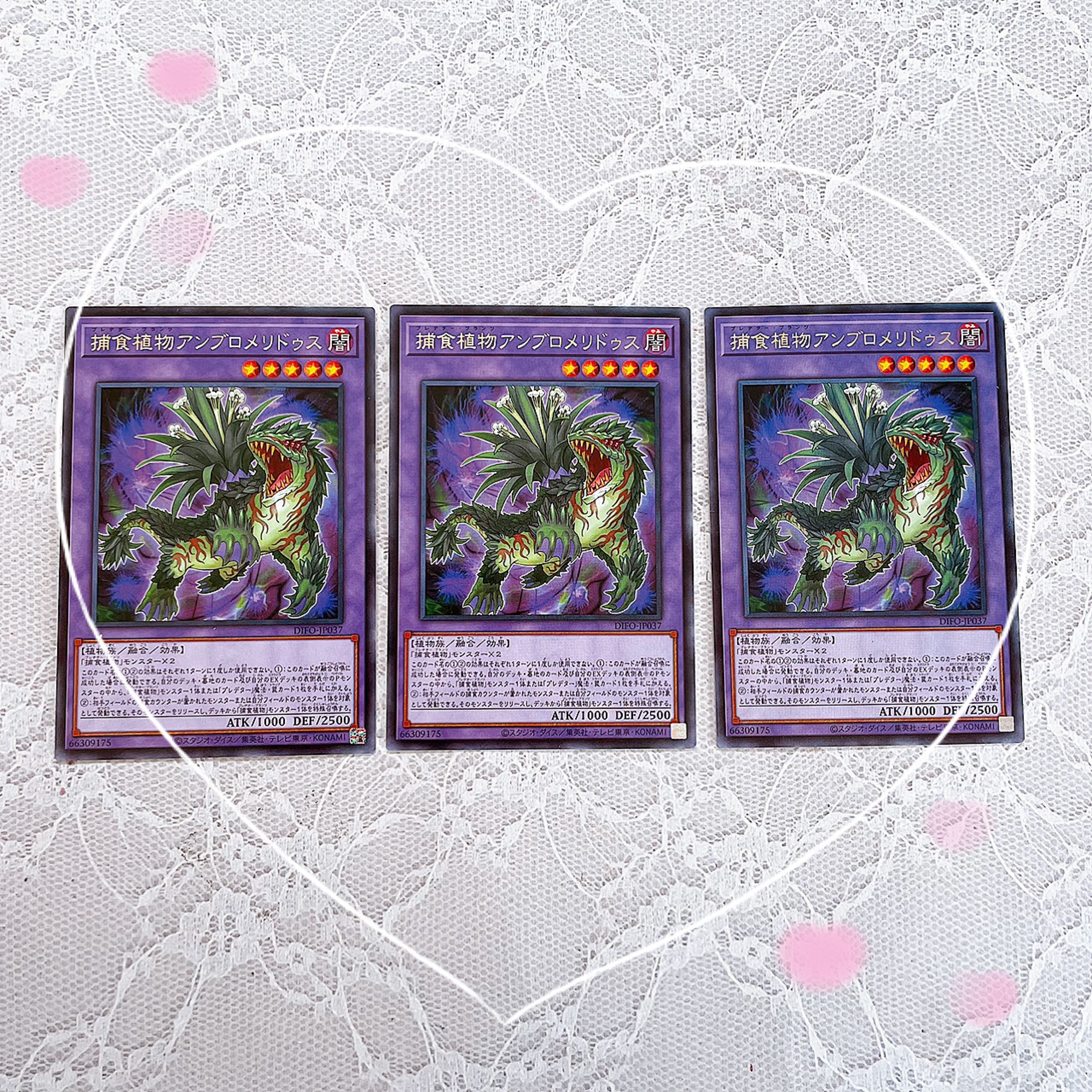 Prey Upon Plant Ambromeridus 3 pieces