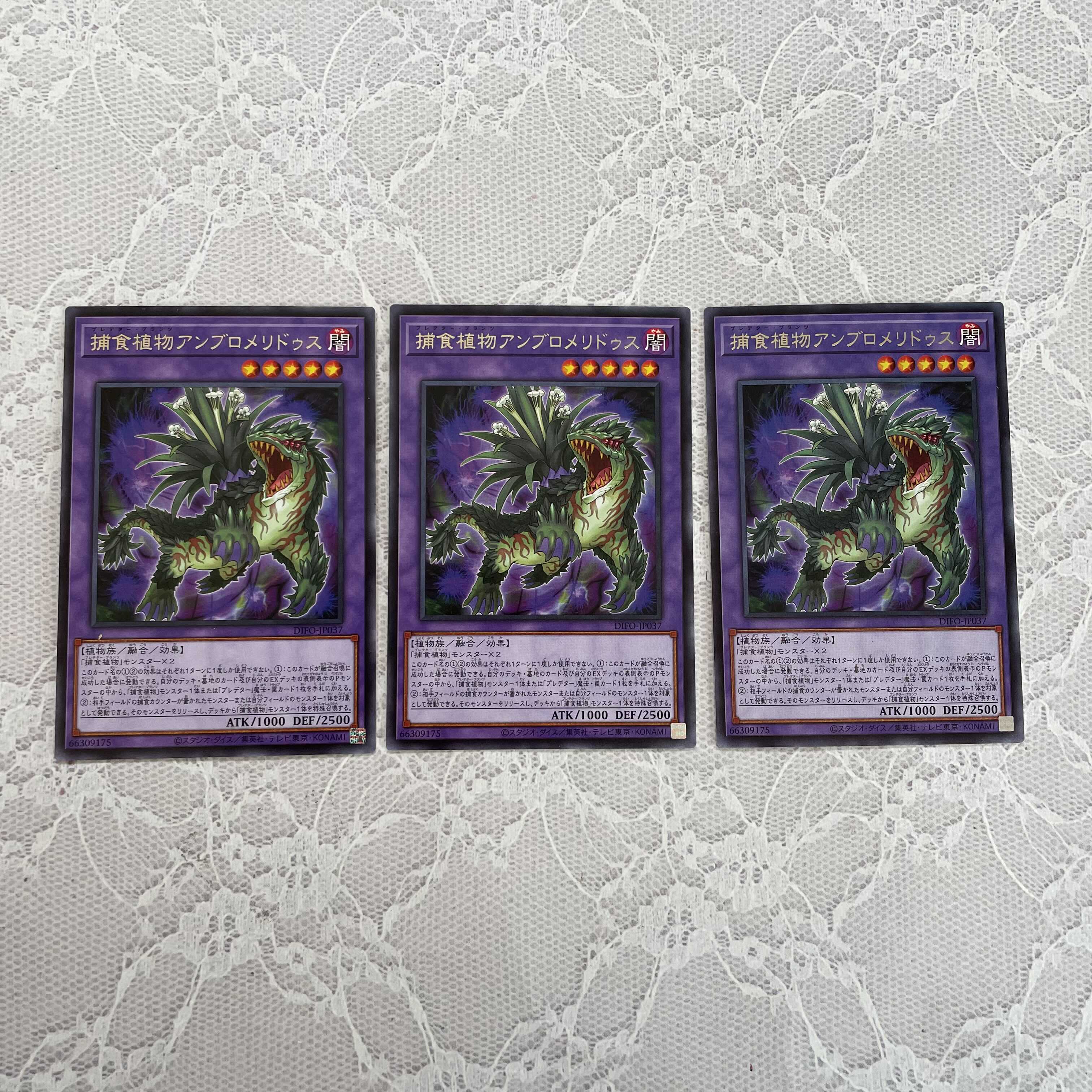 Prey Upon Plant Ambromeridus 3 pieces