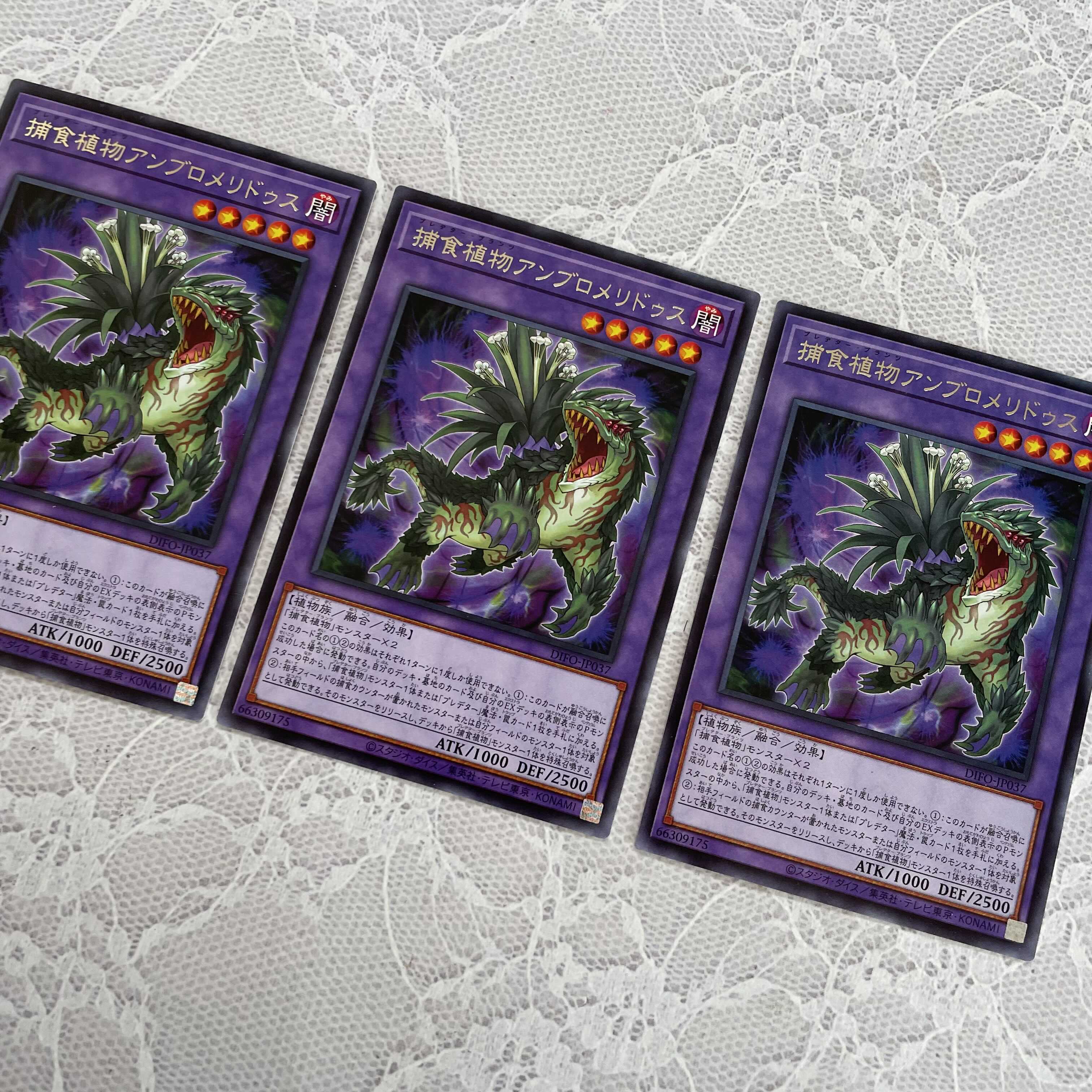 Prey Upon Plant Ambromeridus 3 pieces