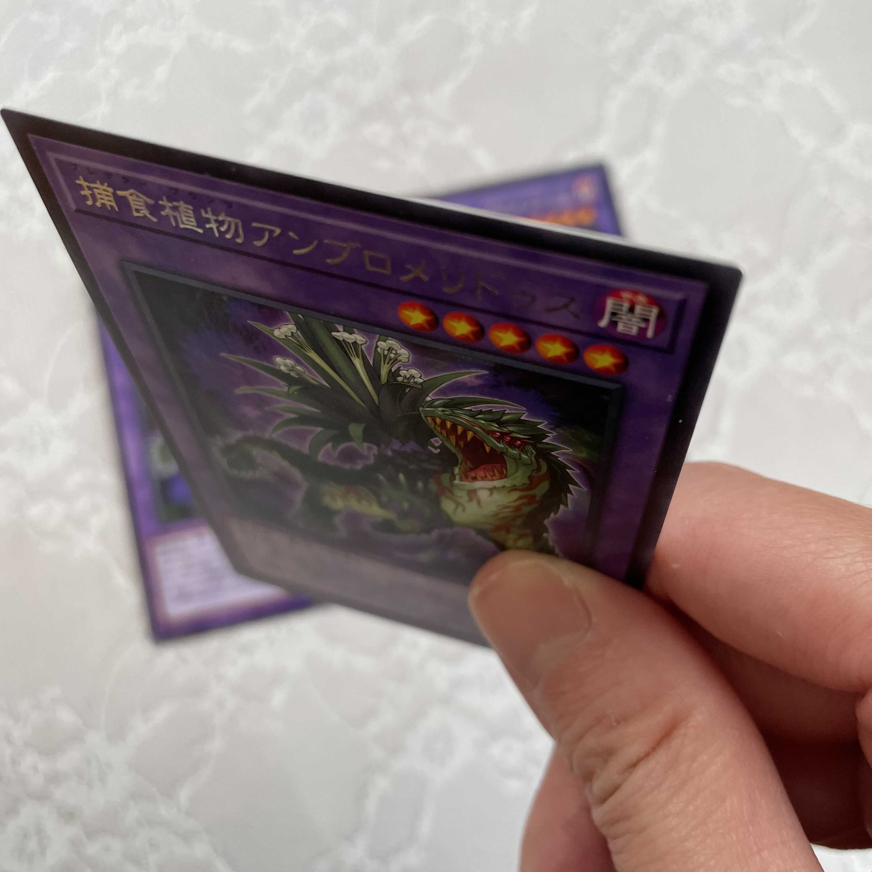 Prey Upon Plant Ambromeridus 3 pieces