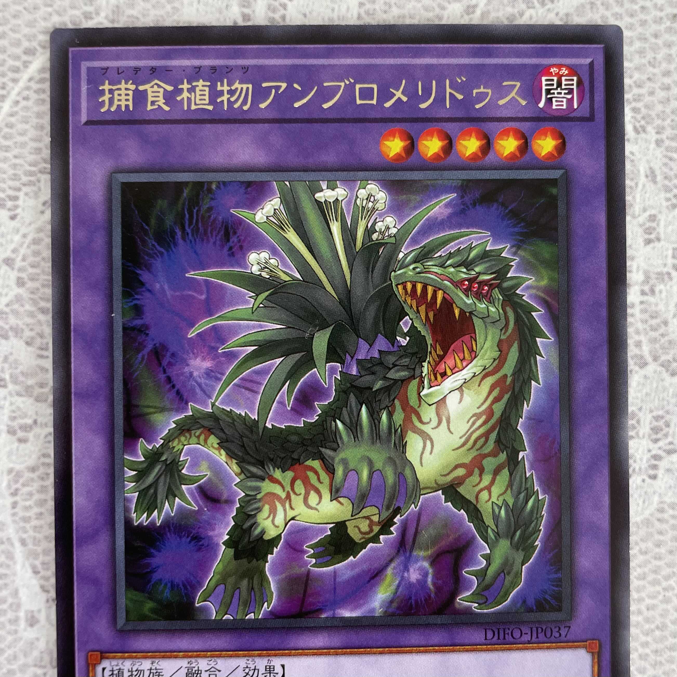 Prey Upon Plant Ambromeridus 3 pieces