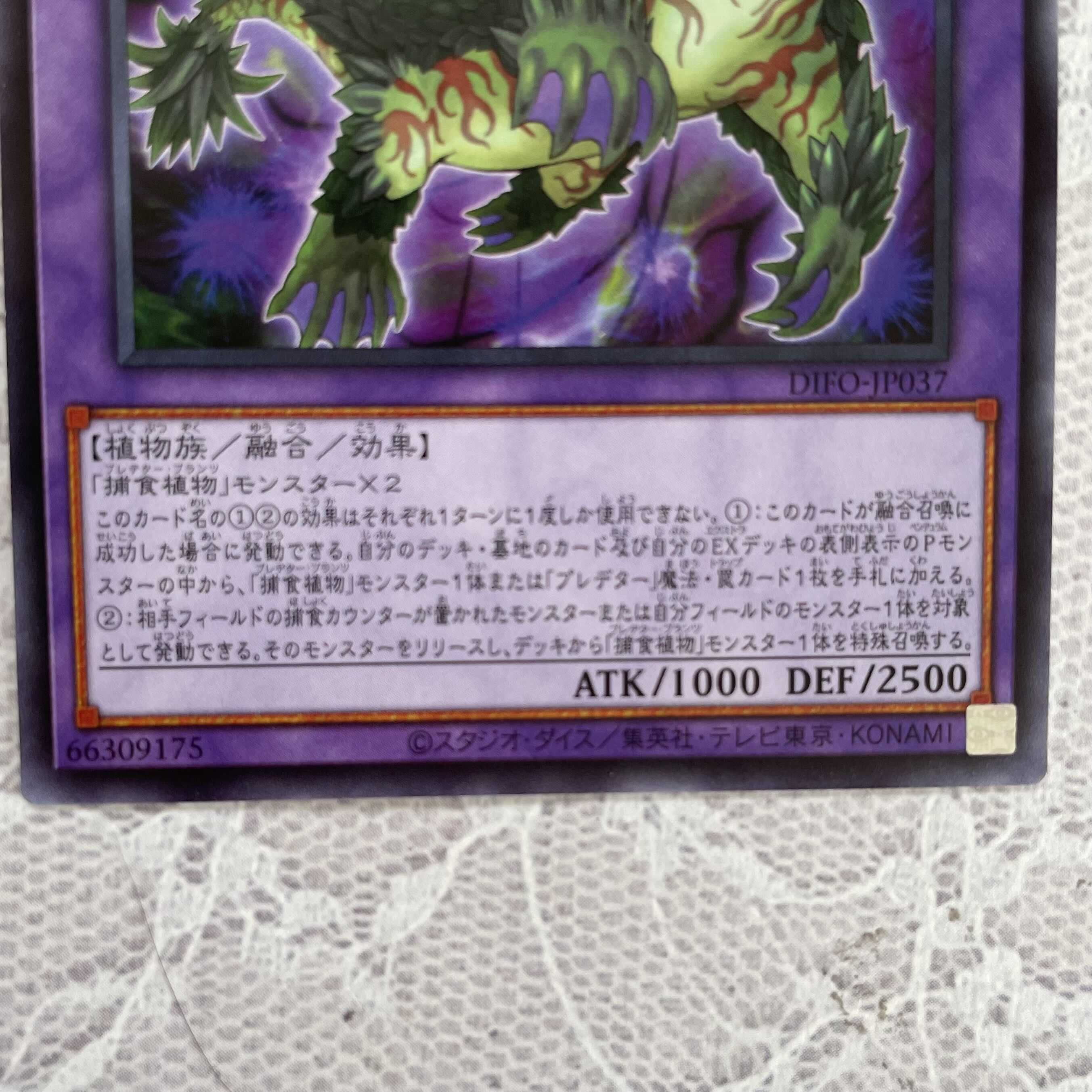 Prey Upon Plant Ambromeridus 3 pieces