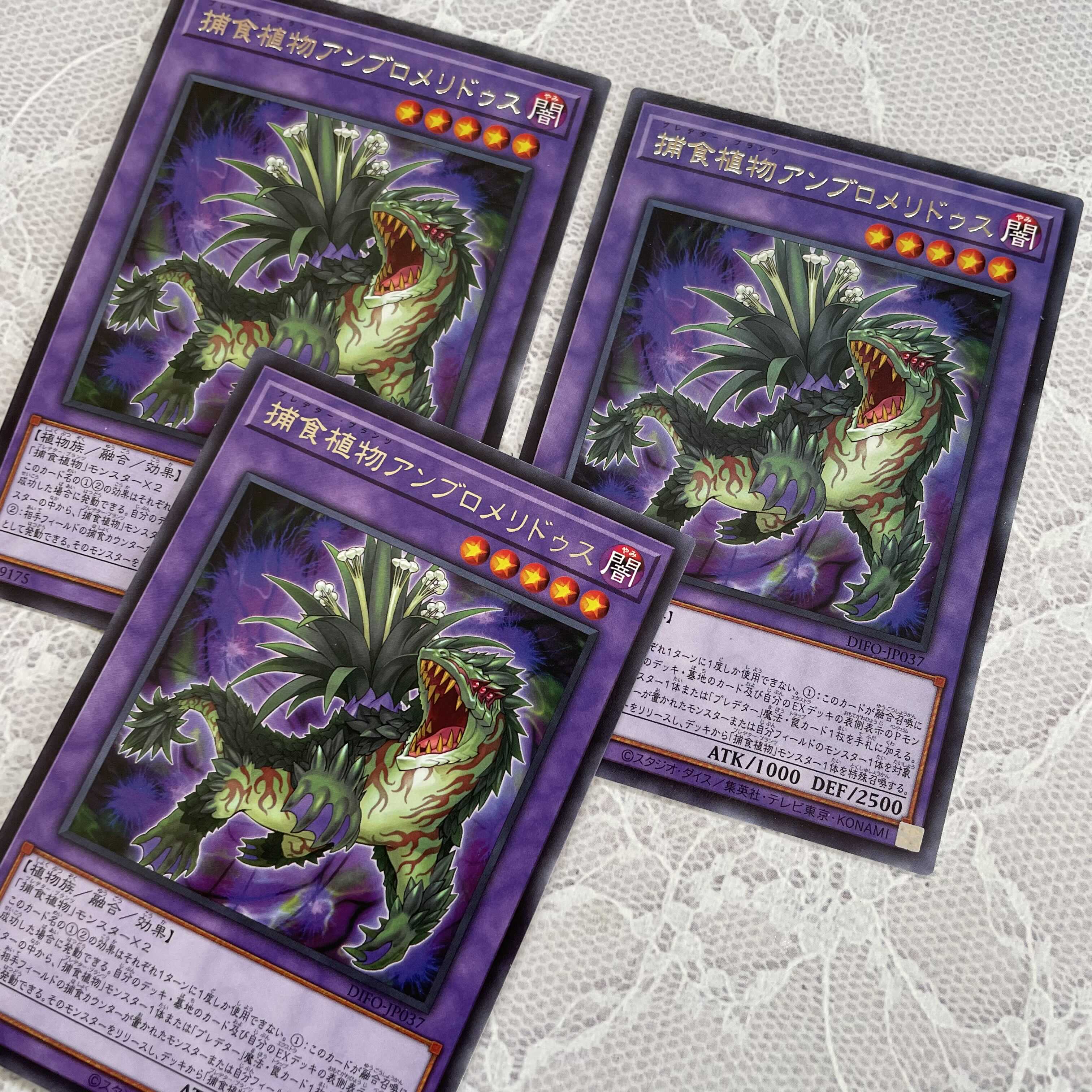 Prey Upon Plant Ambromeridus 3 pieces