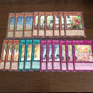 春化精　各種　3枚セット 3枚