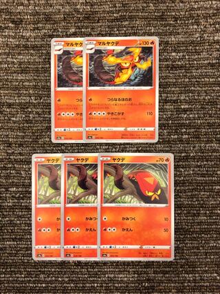 フォロー割あり No.34 ヤクデ マルヤクデセット