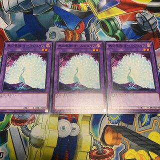 Allvain the Essence of Vanity