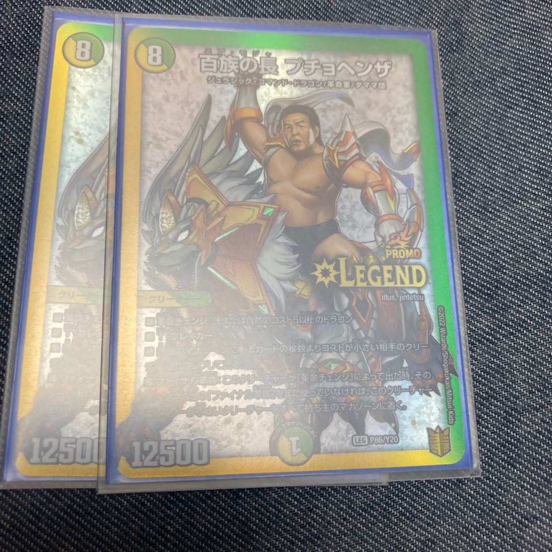 Chief of the Hundred Tribes Puchohenza 2