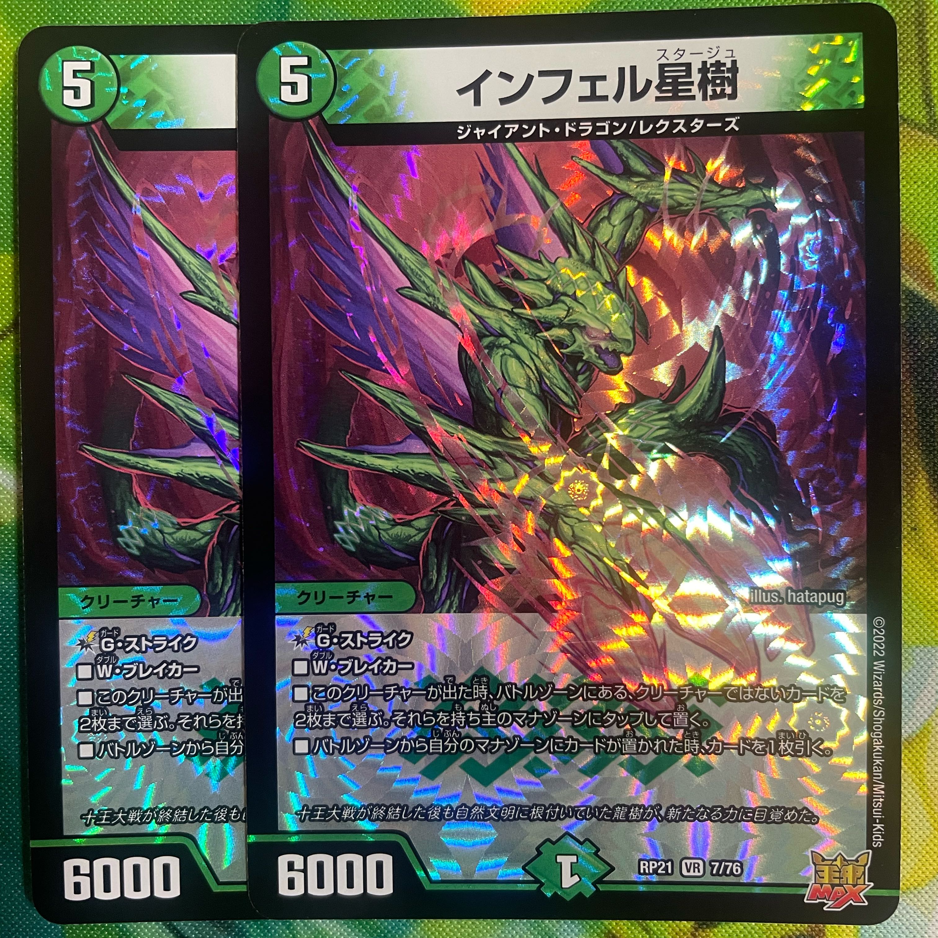 Infelix star tree (species of sedge, Infelix infertilis)