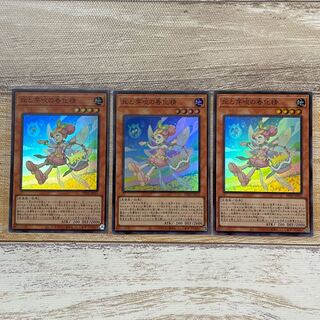 丘と芽吹の春化精　スーパー