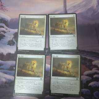 儚い存在 ４枚セット