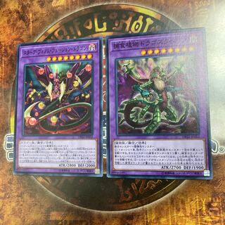 Yu-Gi-Oh ★Starving Venom Fusion Dragon, Dragostapelia