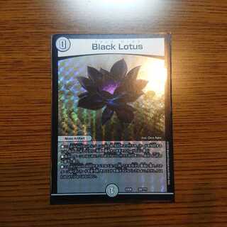 ブラックロータス/Blacklotus