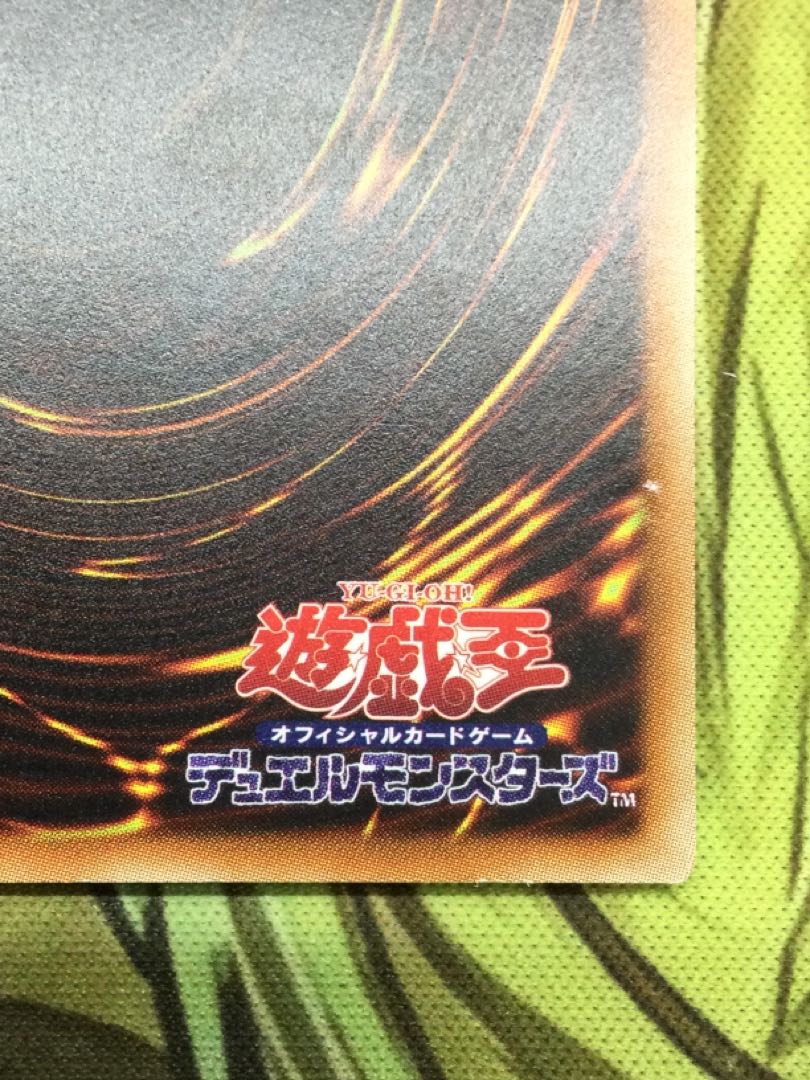 真紅眼の黒竜　ホログラフィックレア【06736-37】