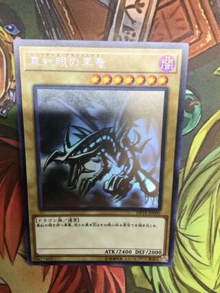 真紅眼の黒竜　ホログラフィックレア【06736-37】