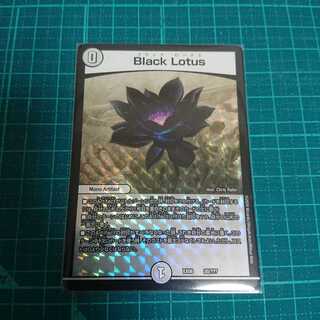 Black Lotus ブラックロータス