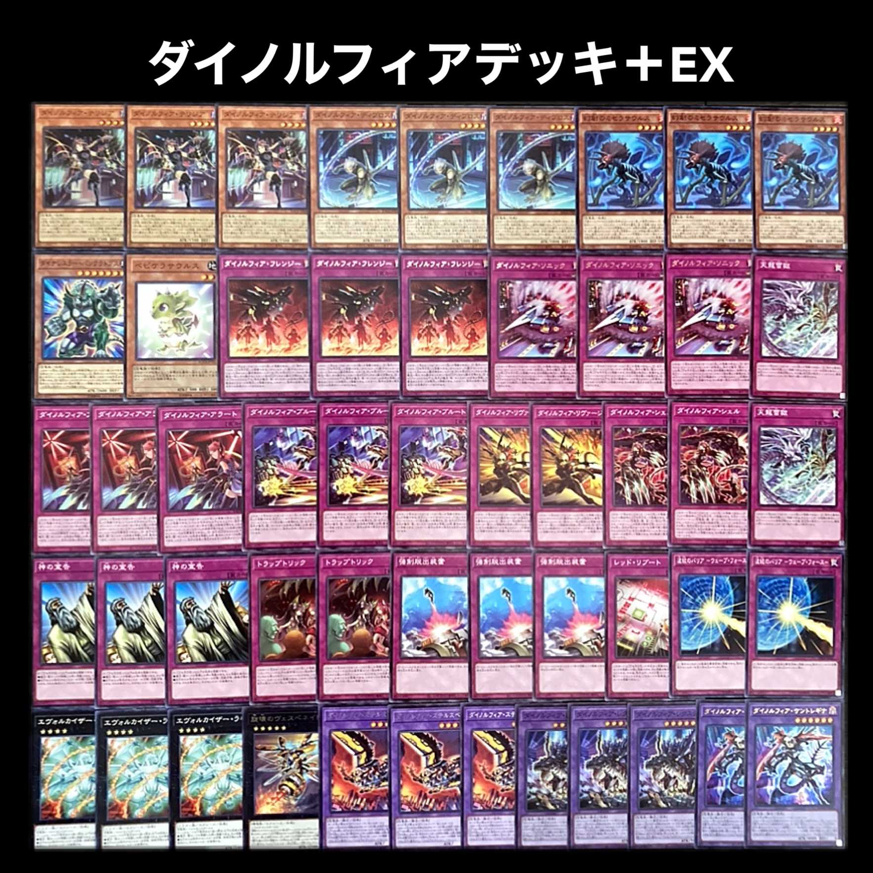 遊戯王 覇王ダイノルフィア 構築デッキ - 遊戯王 遊戯王 覇王ダイノルフィア 構築デッキ - 遊戯王
