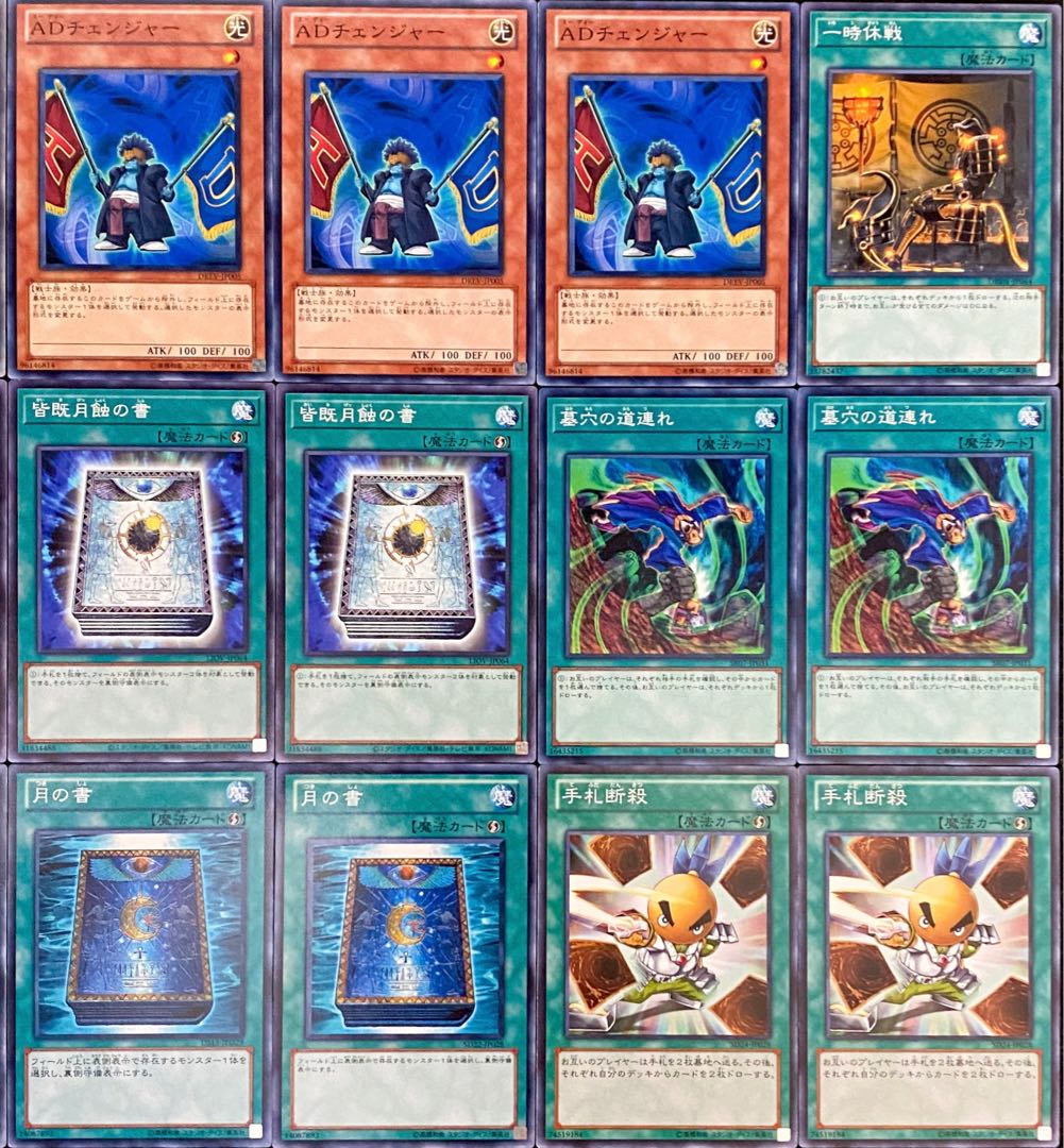Yu-Gi-Oh! Authentic Constructed Deck Destruction Deck Rosaan 40 cards