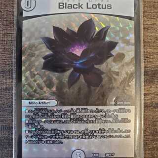 ブラックロータス　追跡付きで発送致します。black lotus　