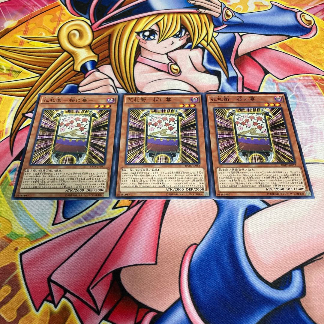 Hanafuda Ei - Cherry Blossoms and the Curtain