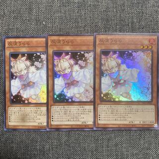 Ash Blossom & Joyous Spring