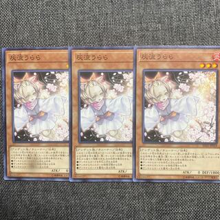 Ash Blossom & Joyous Spring