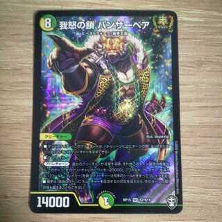 我怒の鎖 パンサーベア