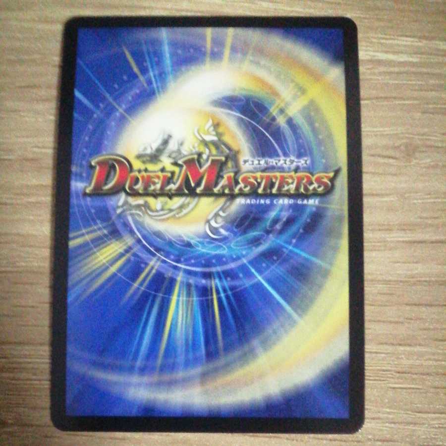 我怒の鎖 パンサーベア