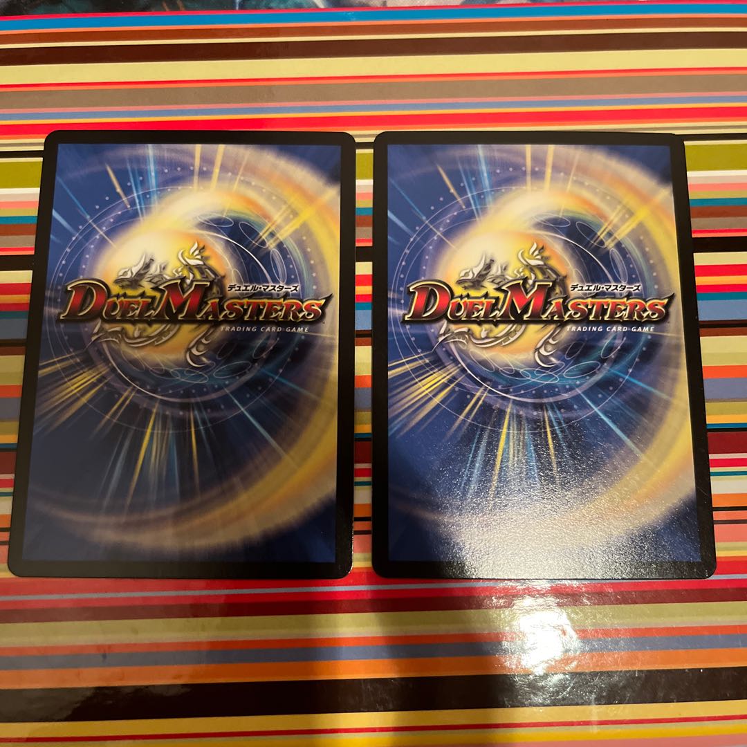 Hachiko, the loyal dog of suicide attack