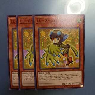 LL-Turquoise Warbler Normal