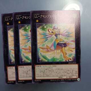 LL-Assembly Nightingale Normal ☆